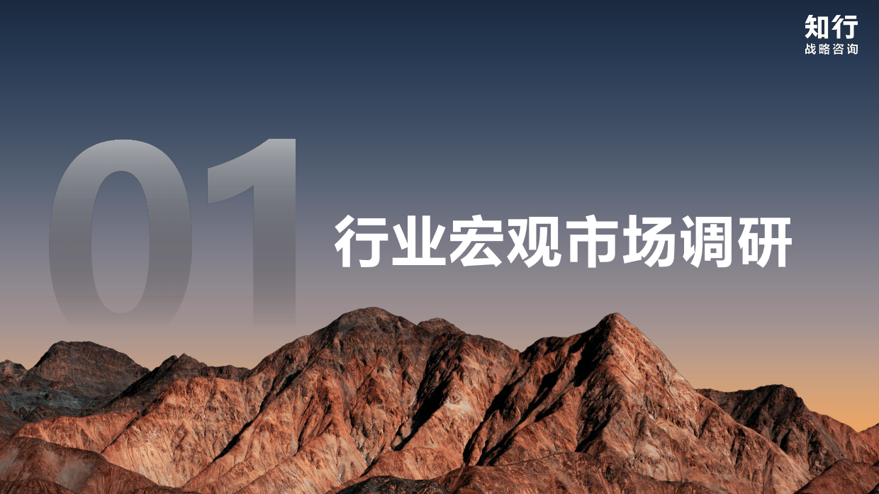 2026年隔离妆前素颜霜品类-知行.pdf_第3页