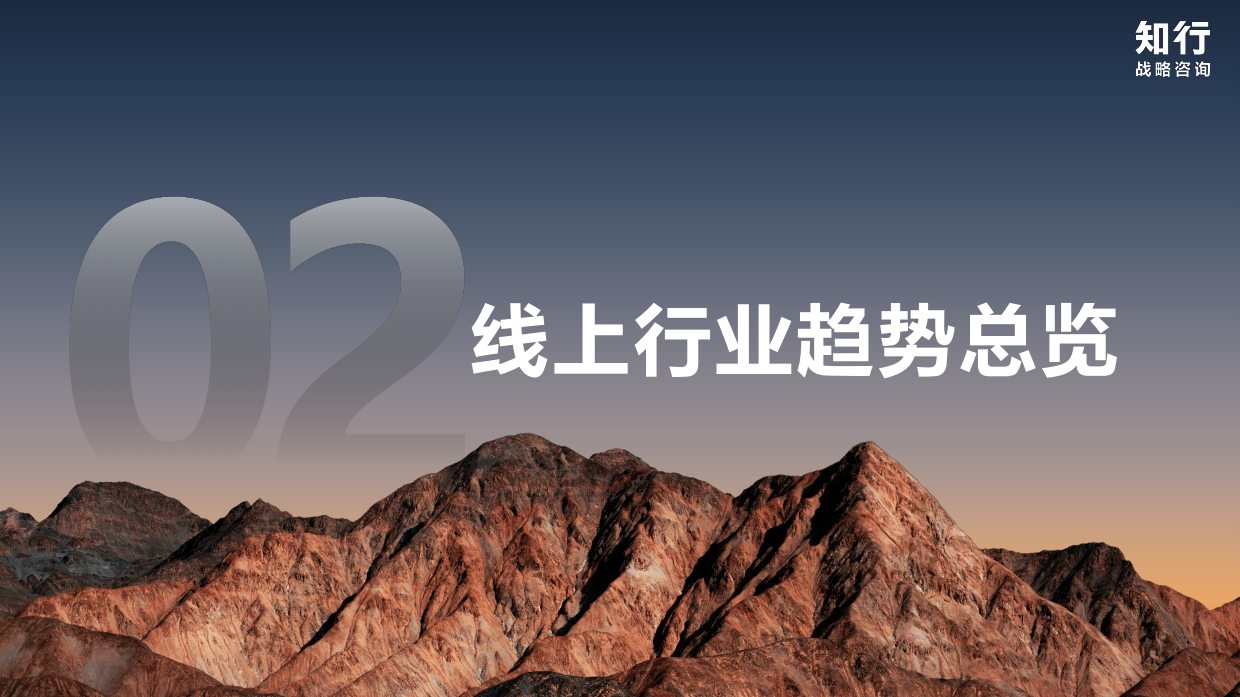 2026年隔离妆前素颜霜品类-知行.pdf_第8页