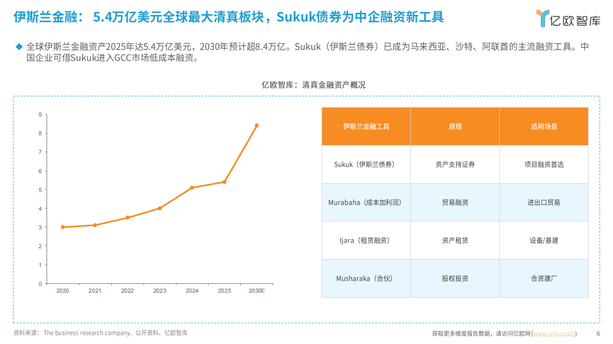 全球清真产业与市场准入白皮书（2026）-亿欧智库.pdf_第6页