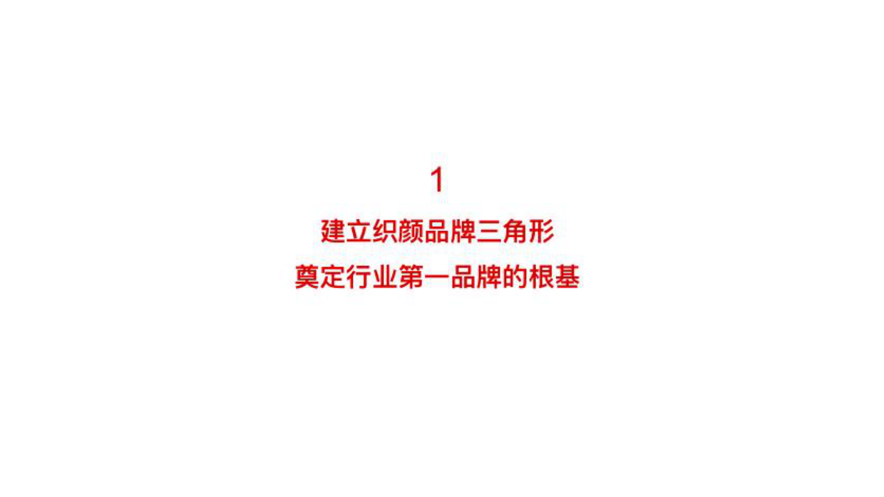 织颜窗帘重塑织颜4P盈利模型.pdf_第4页