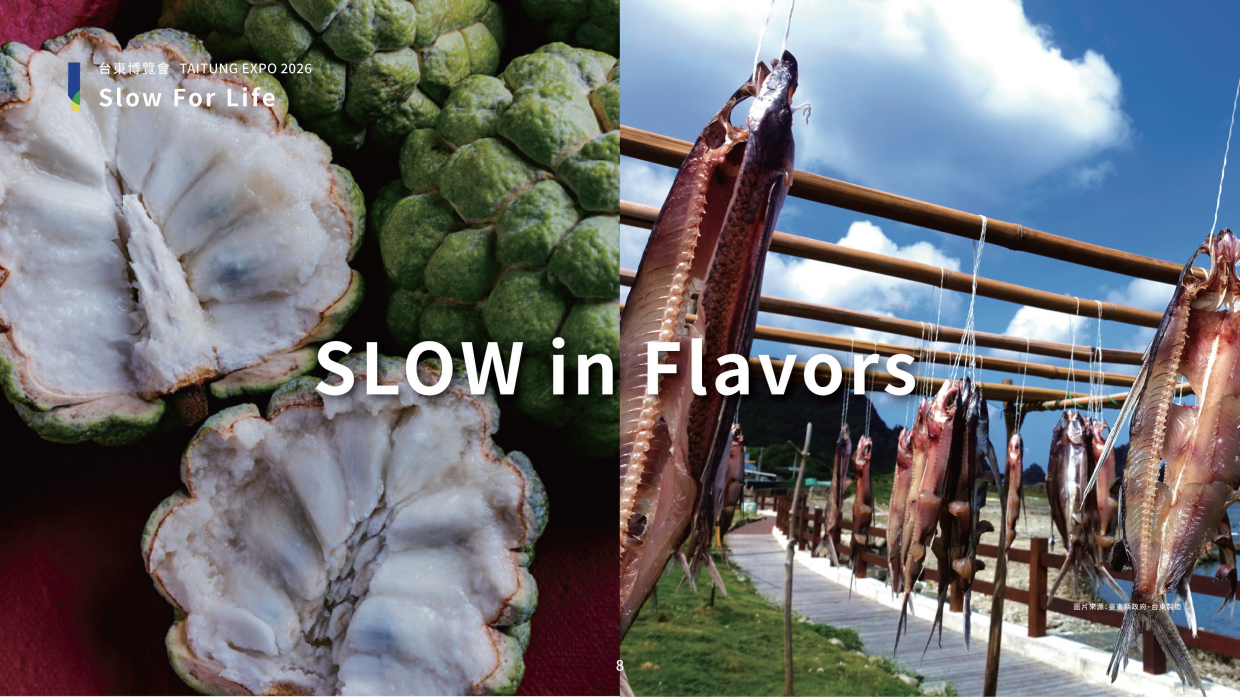 2026台東博覽會品牌手冊.pdf_第10页