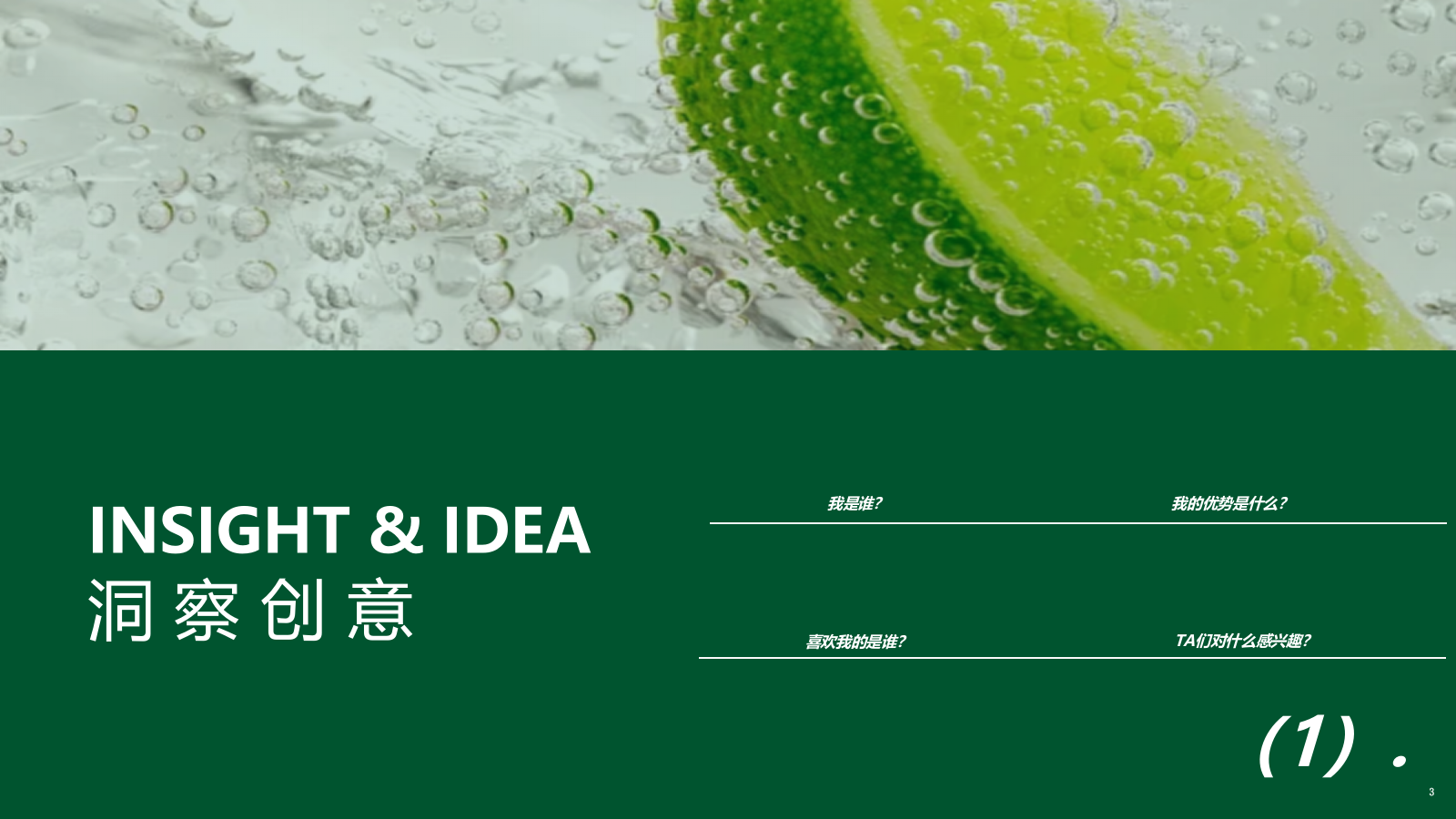 巴黎水种草方案.pptx_第3页