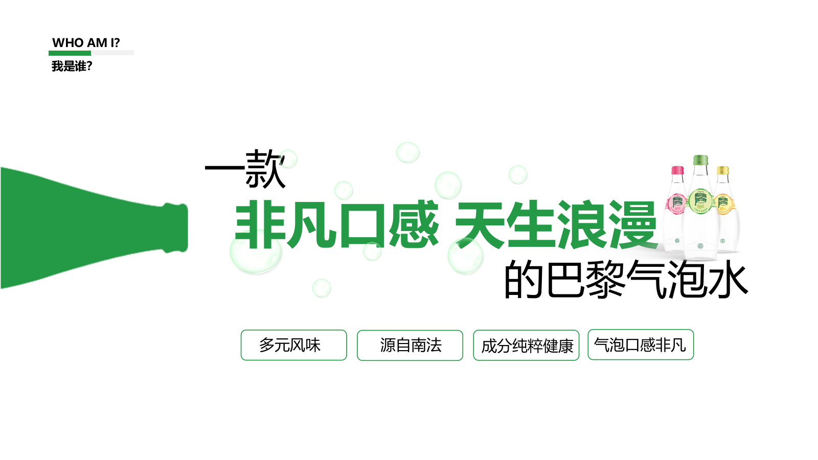 巴黎水种草方案.pptx_第4页