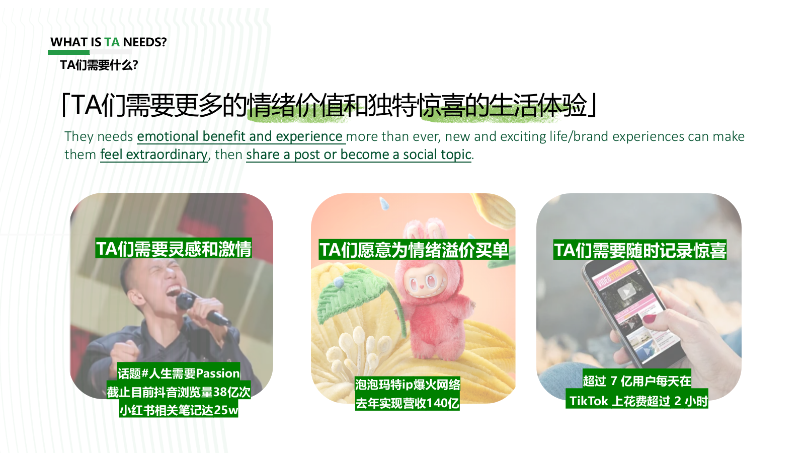 巴黎水种草方案.pptx_第8页