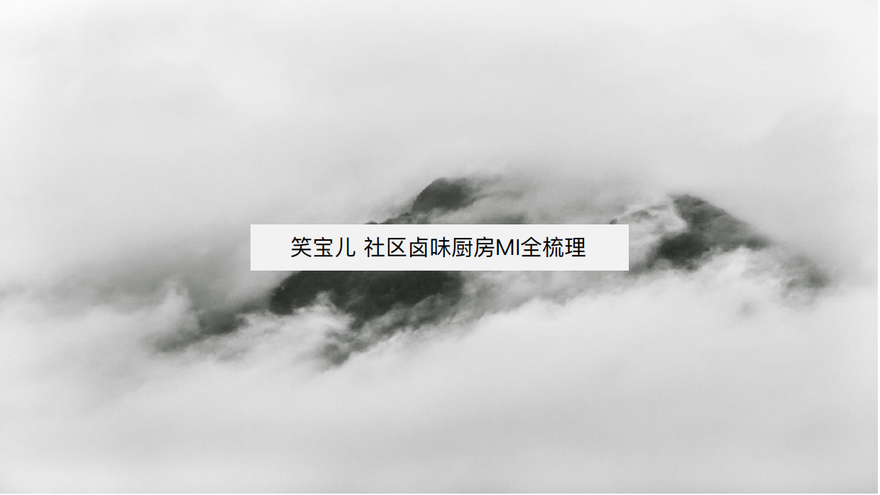 笑宝儿MI全梳理.pdf