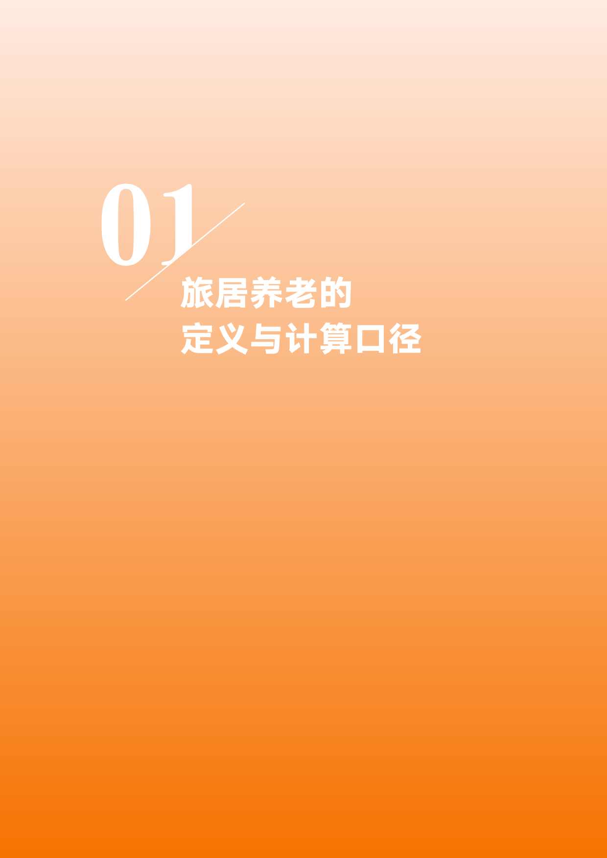 2025旅居养老时空大数据分析报告-中国老龄协会.pdf_第4页