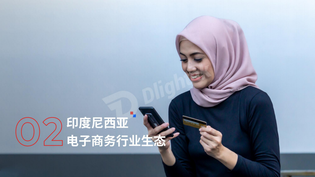 【Dlightek】2026印度尼西亚电子商务行业报告.pdf_第10页