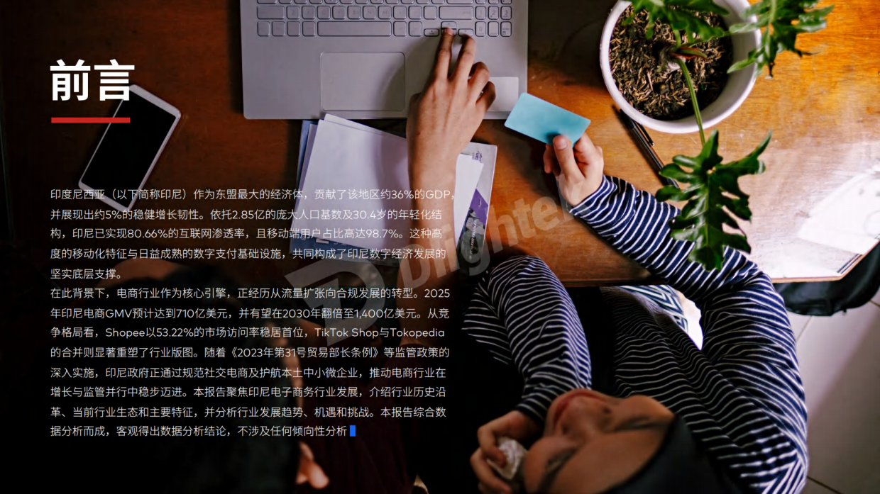 【Dlightek】2026印度尼西亚电子商务行业报告.pdf_第2页