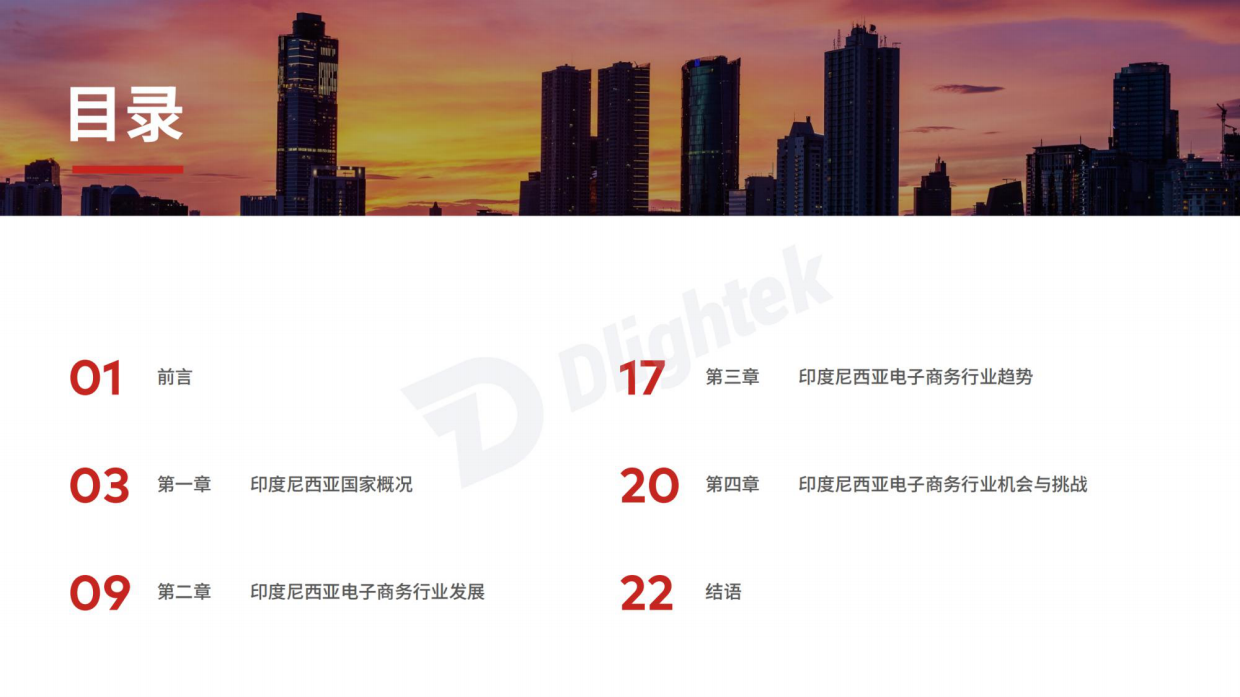 【Dlightek】2026印度尼西亚电子商务行业报告.pdf_第3页