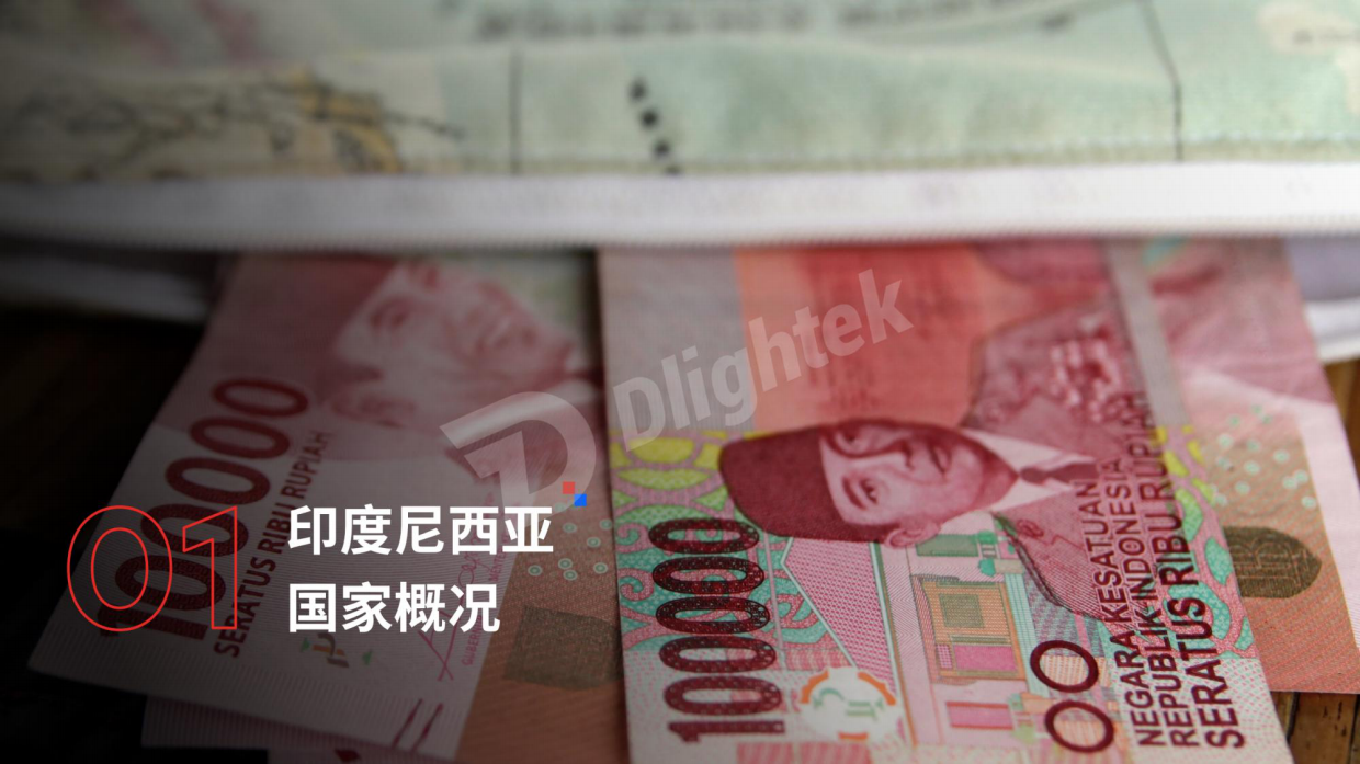 【Dlightek】2026印度尼西亚电子商务行业报告.pdf_第4页