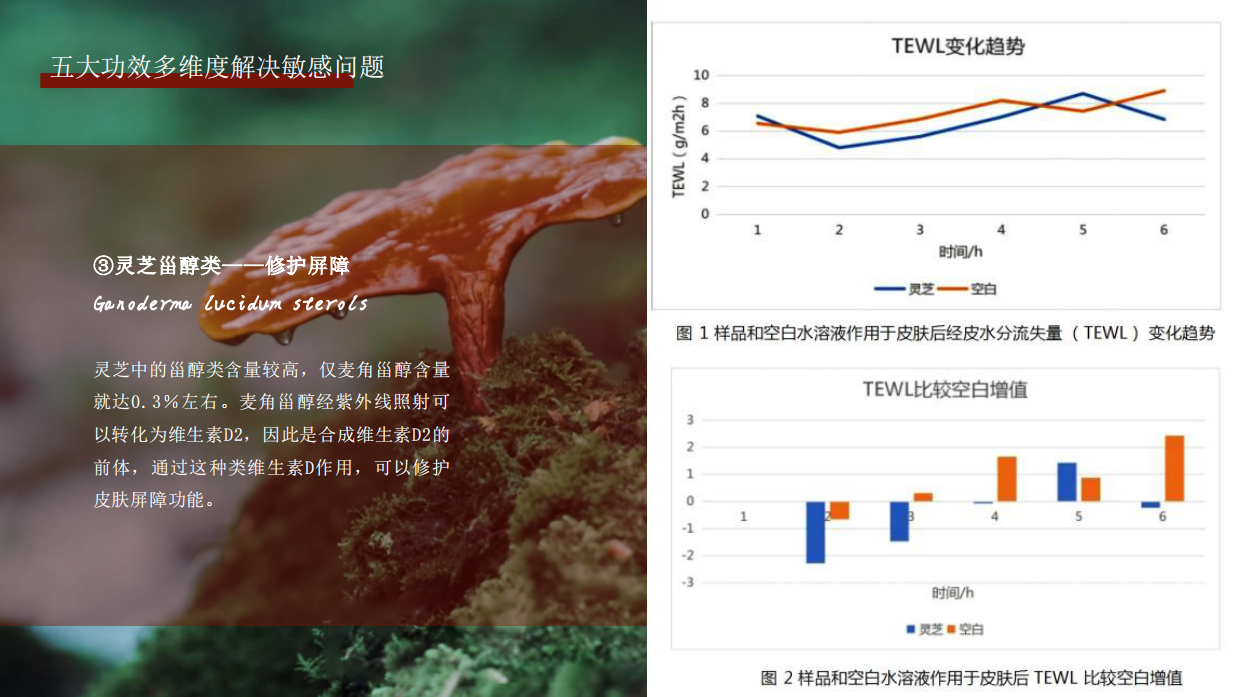 东方灵芝护肤系列.pdf_第10页