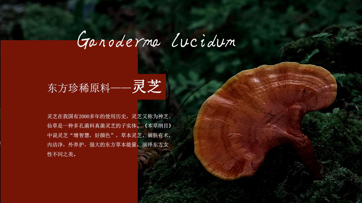 东方灵芝护肤系列.pdf_第3页