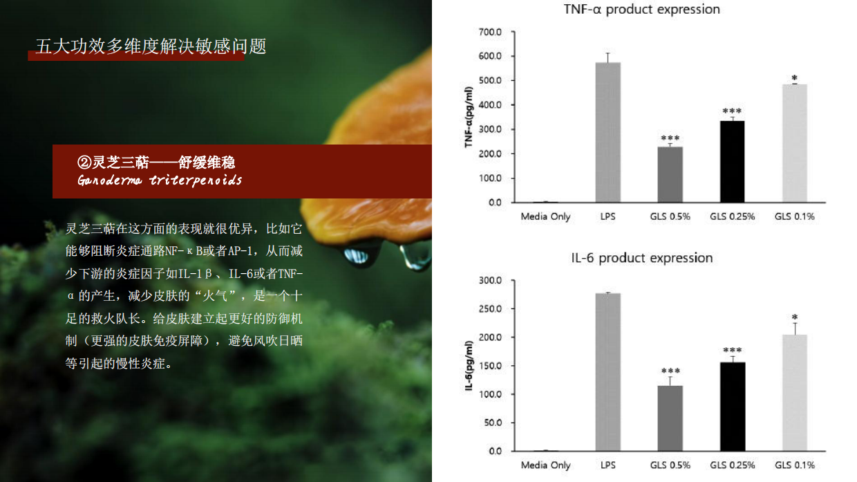东方灵芝护肤系列.pdf_第9页