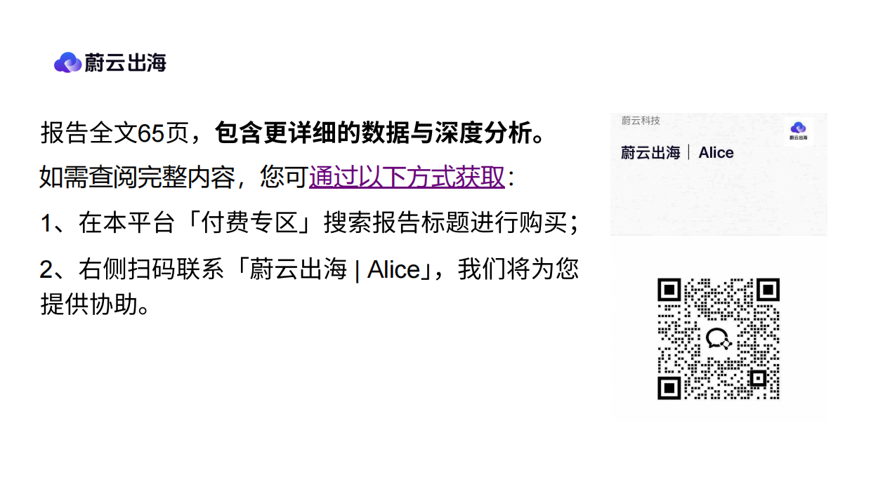 2026「雾灯美国市场」年度研报-蔚云出海.pdf_第10页