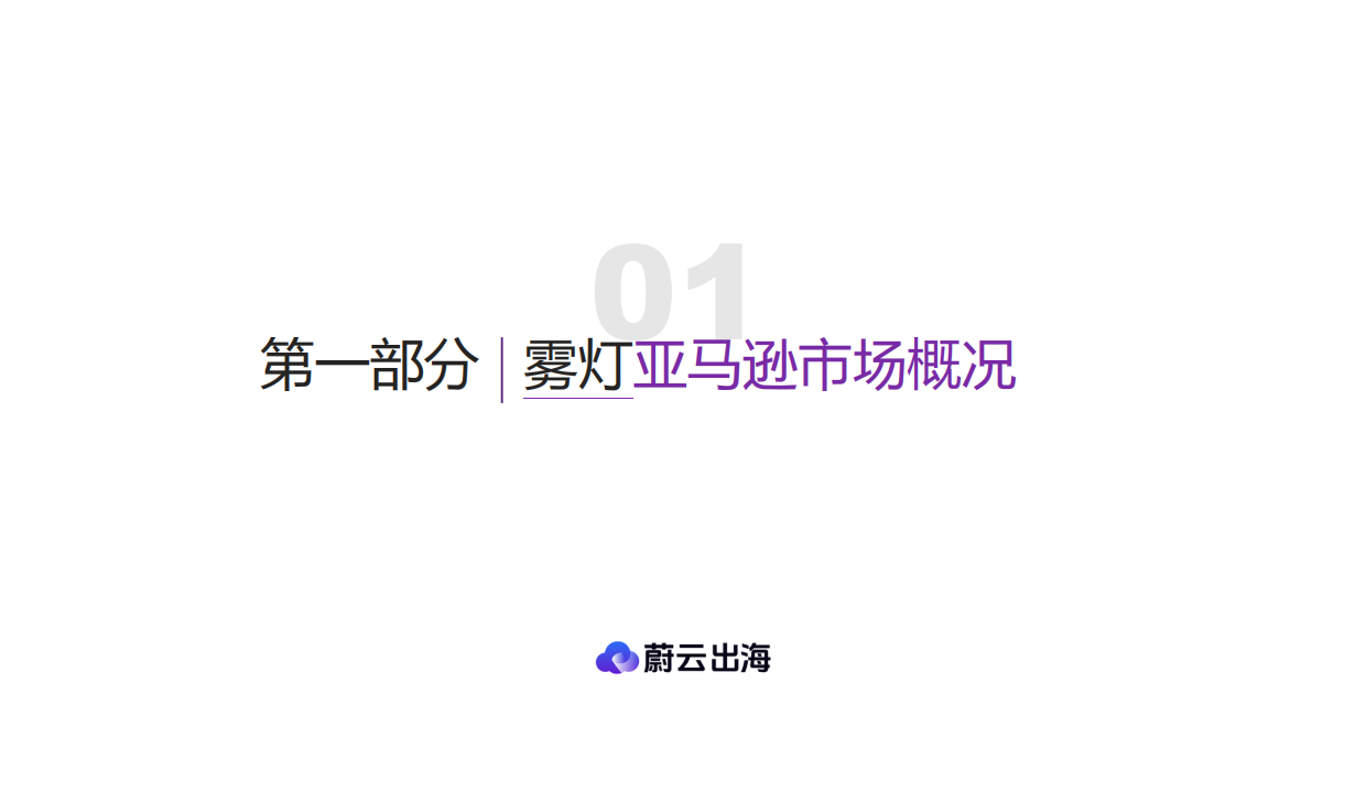 2026「雾灯美国市场」年度研报-蔚云出海.pdf_第4页