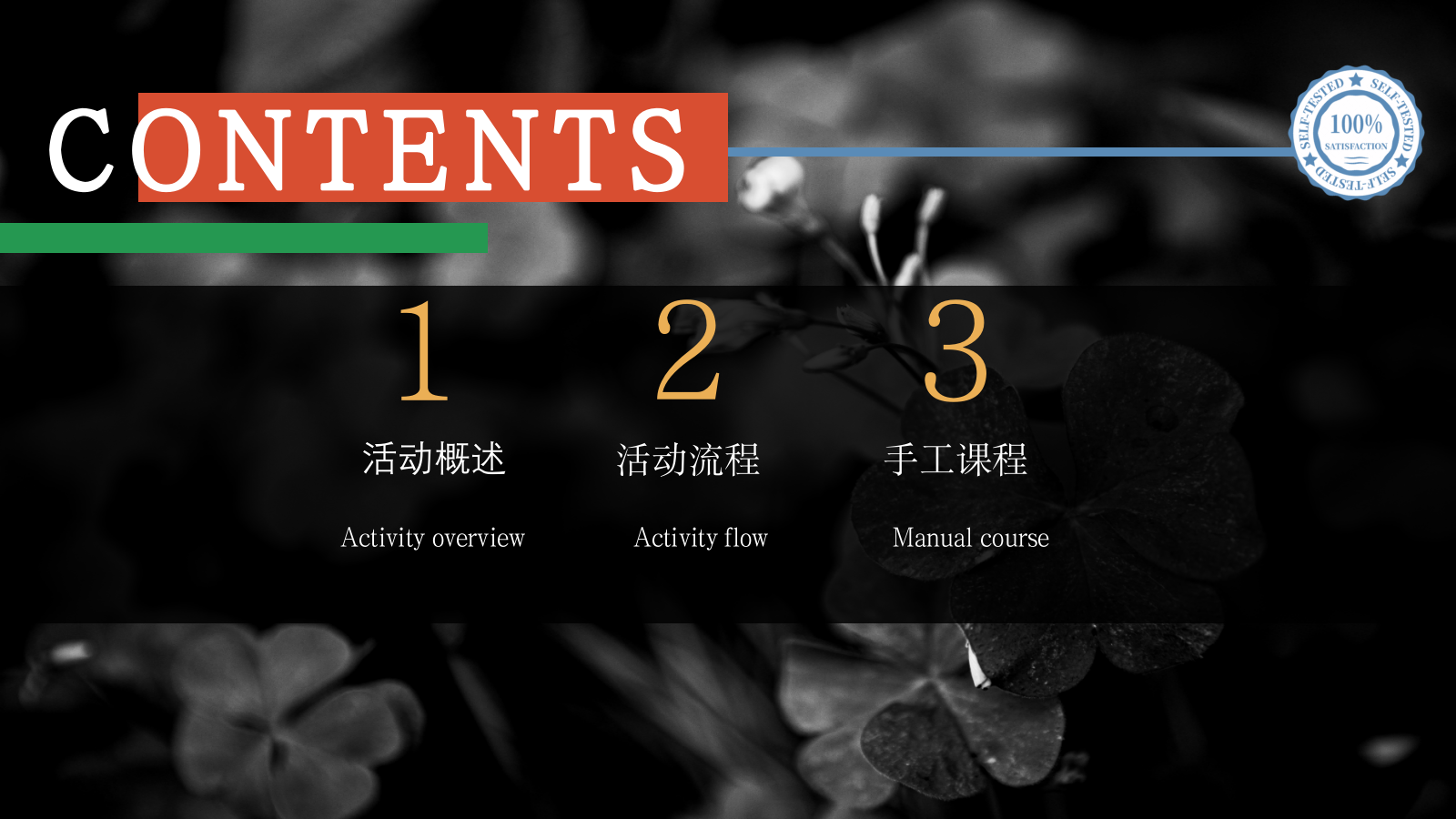 口红手工课程活动策划方案.pptx_第2页