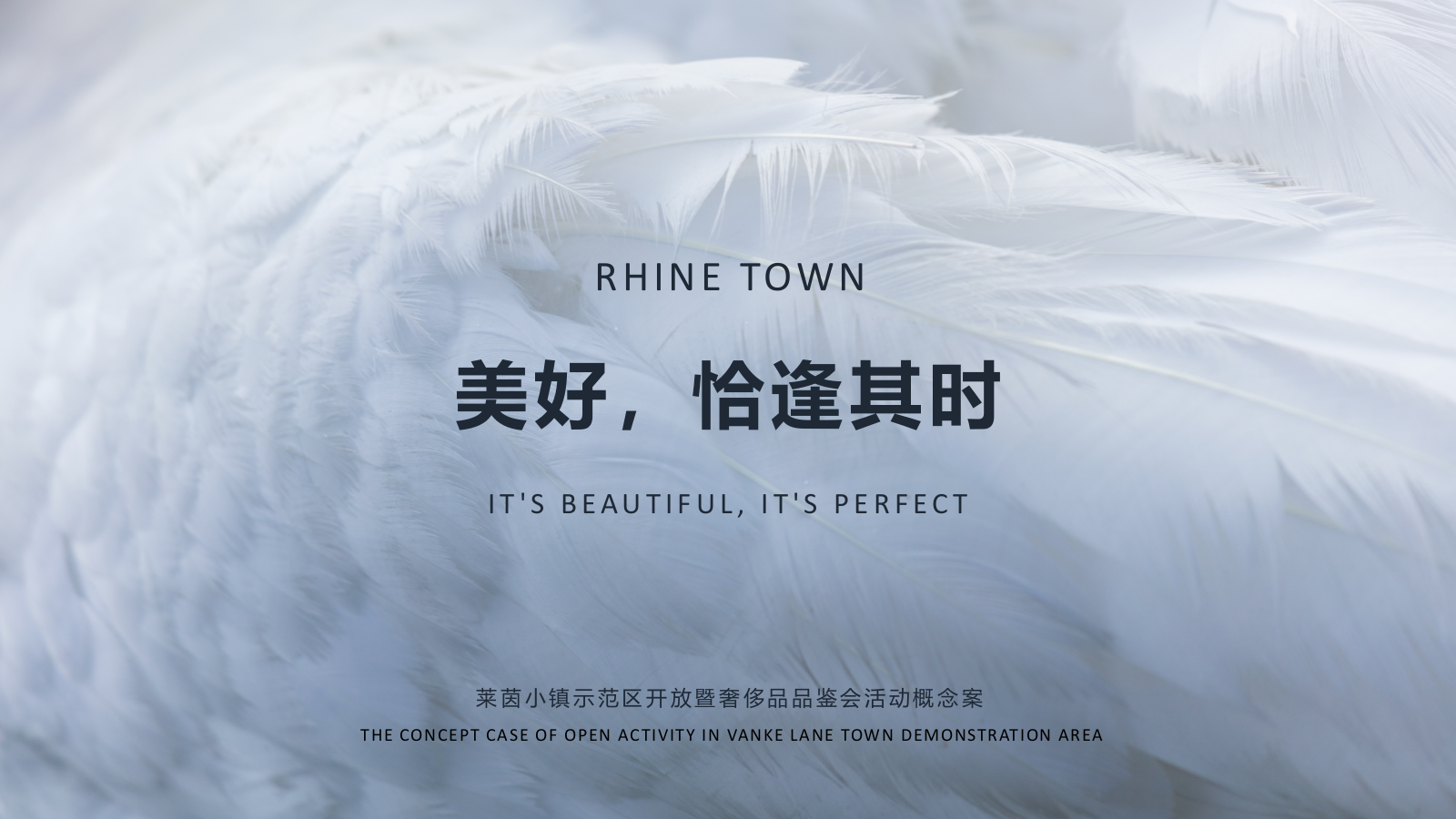 莱茵小镇示范区开放暨奢侈品品鉴会活动概念案-60P.pptx_第1页