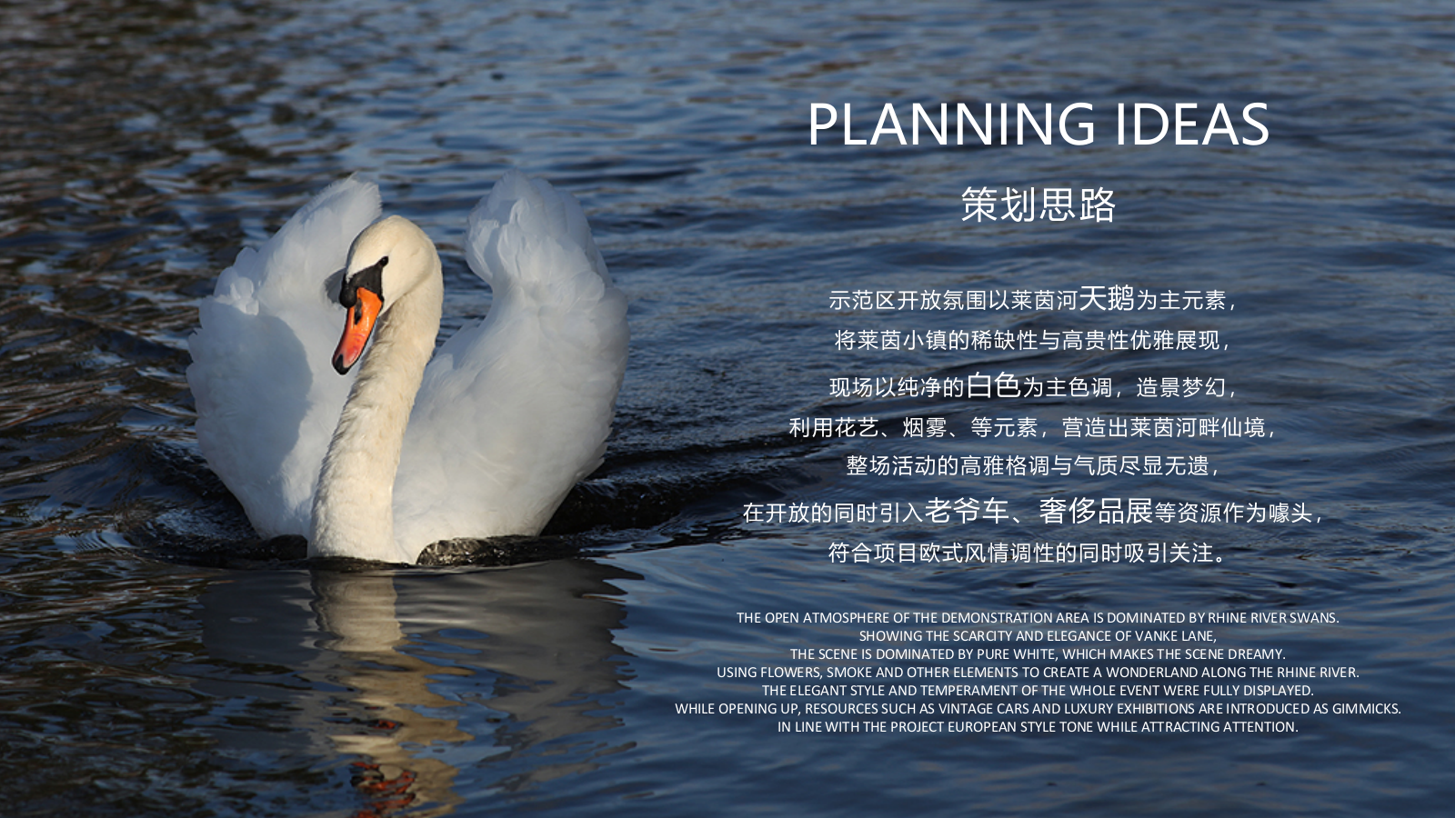 莱茵小镇示范区开放暨奢侈品品鉴会活动概念案-60P.pptx_第5页