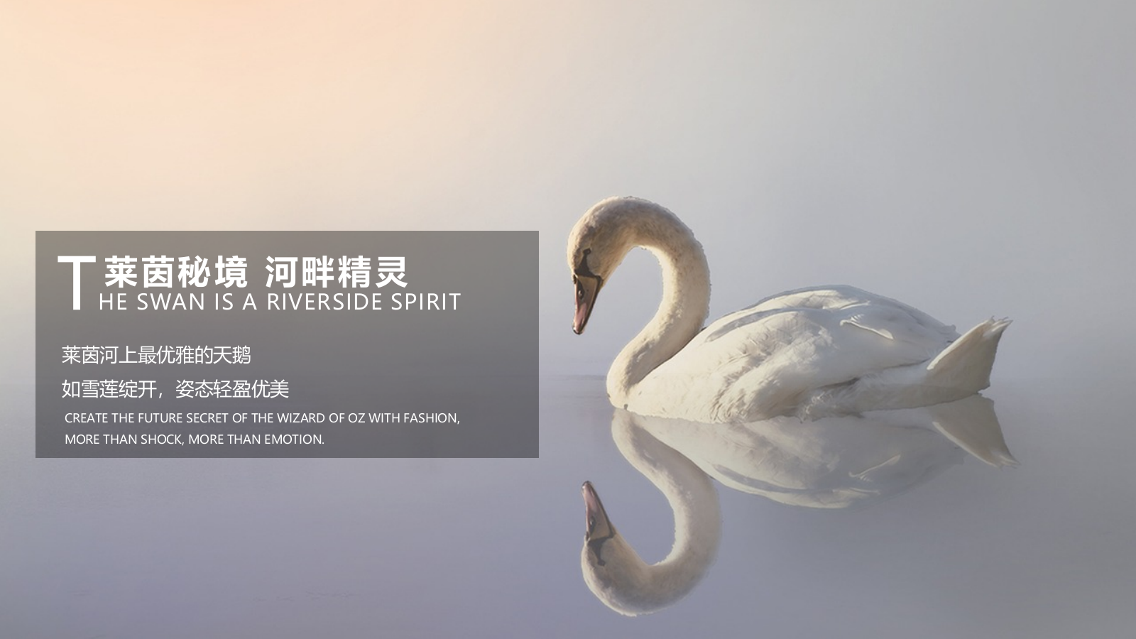 莱茵小镇示范区开放暨奢侈品品鉴会活动概念案-60P.pptx_第8页