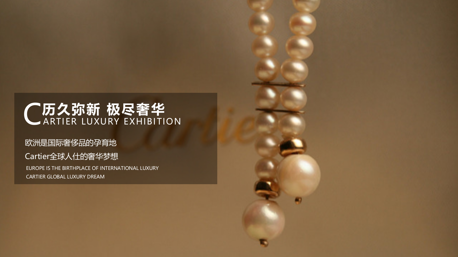 莱茵小镇示范区开放暨奢侈品品鉴会活动概念案-60P.pptx_第9页