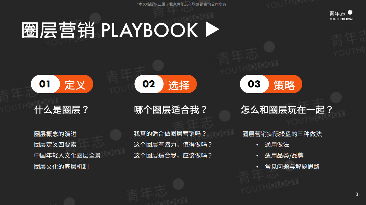 青年志圈层营销PLAYBOOK.pdf_第3页
