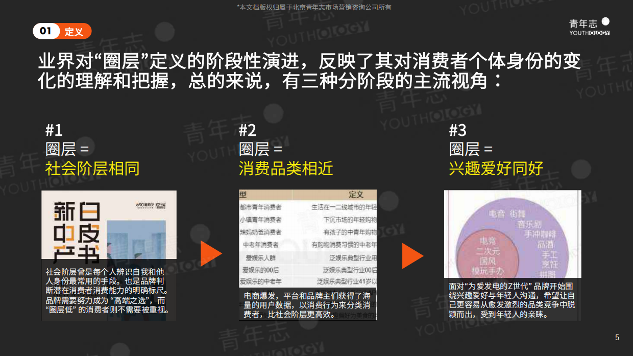 青年志圈层营销PLAYBOOK.pdf_第5页