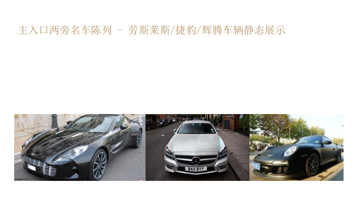 上海天价顶级西郊别墅金臣项目圈层营销活动.pdf_第10页