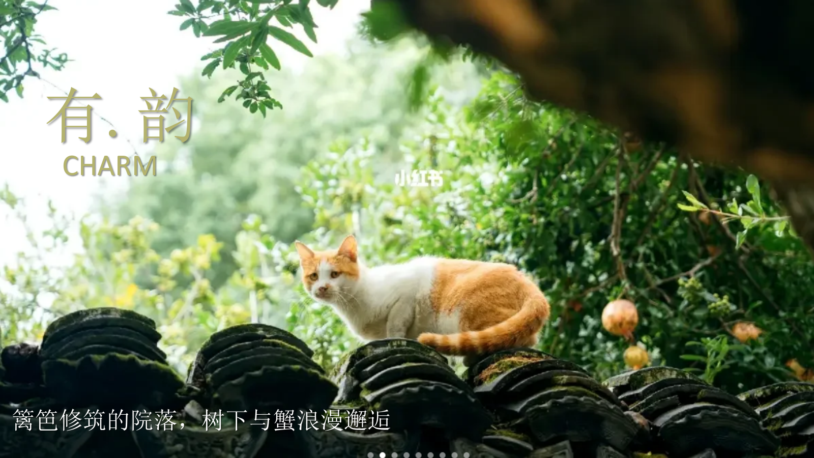 庭院野席·蟹宴-秋天高端蟹宴地产圈层暖场活动策划方案.pptx_第4页