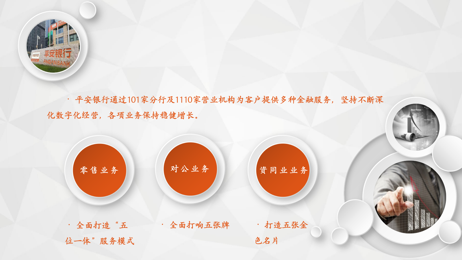 中国平安银行金融VIP客户营销方案.pptx_第3页