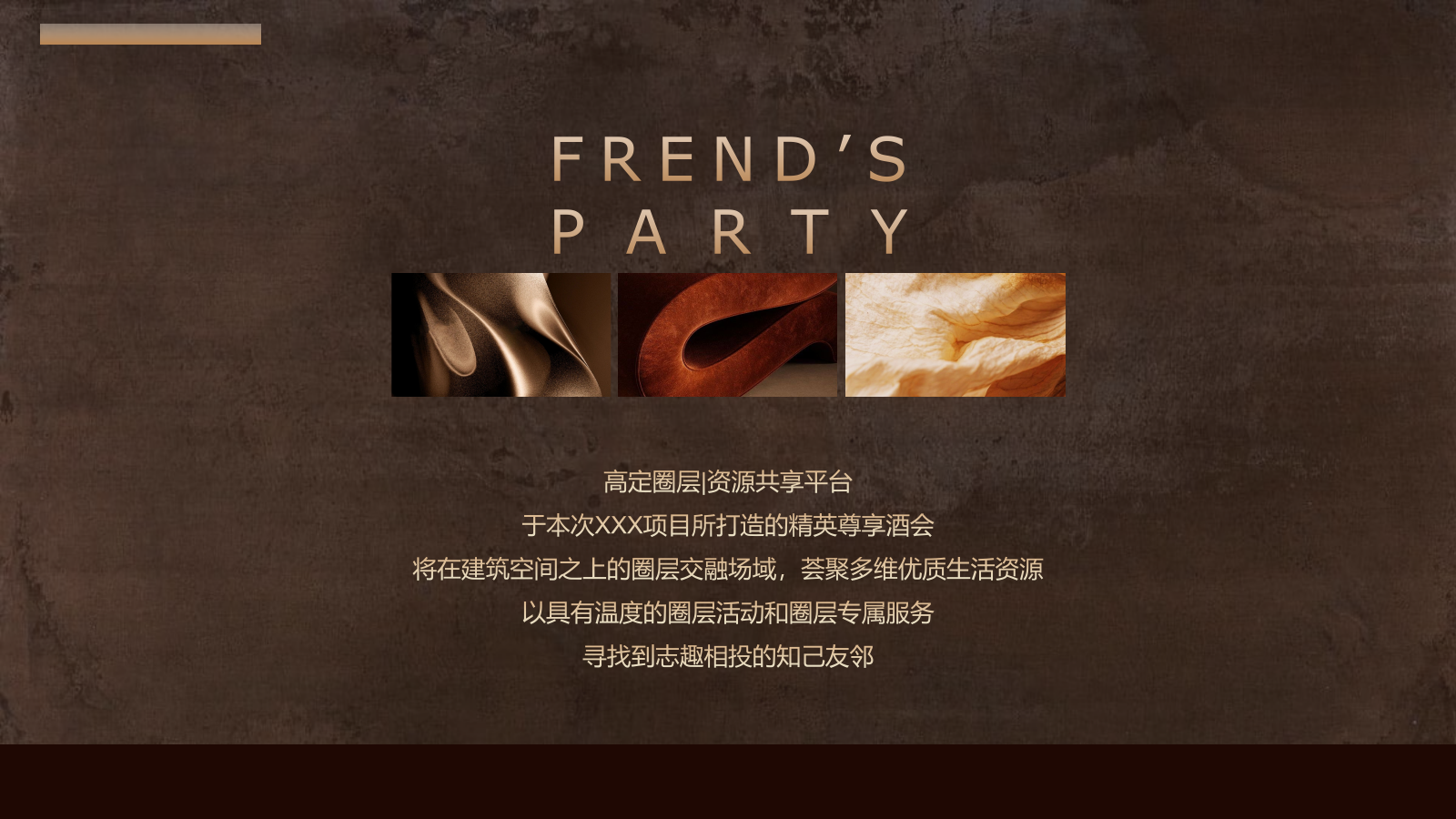 LEO与他的伙伴们 ——XX项目精英尊享酒会.pptx_第2页