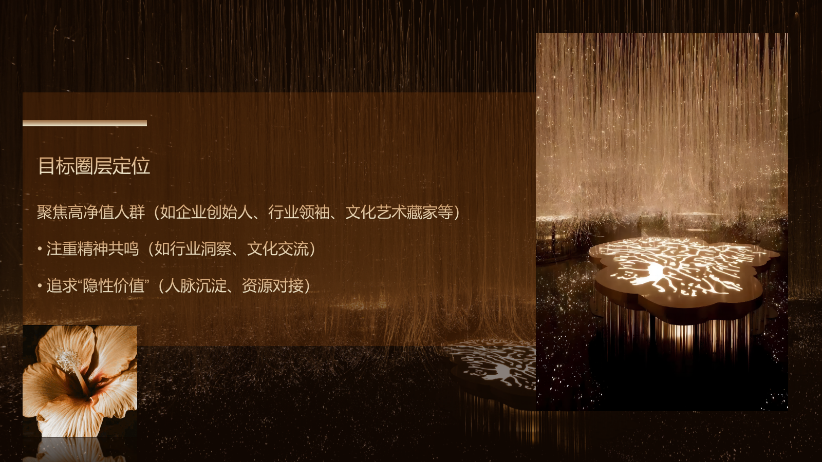 LEO与他的伙伴们 ——XX项目精英尊享酒会.pptx_第3页