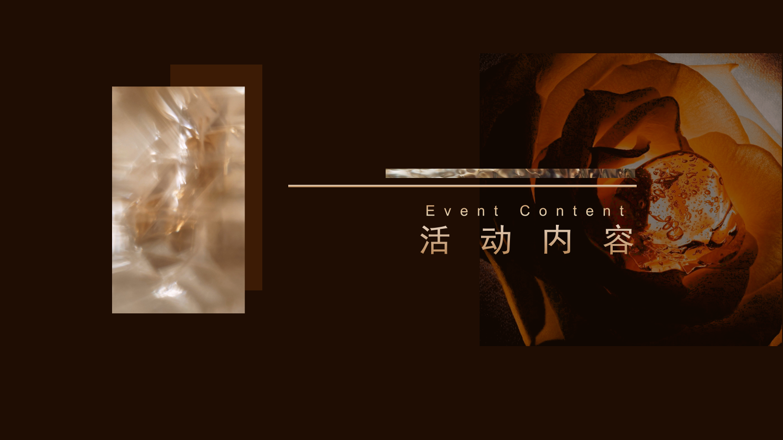 LEO与他的伙伴们 ——XX项目精英尊享酒会.pptx_第6页