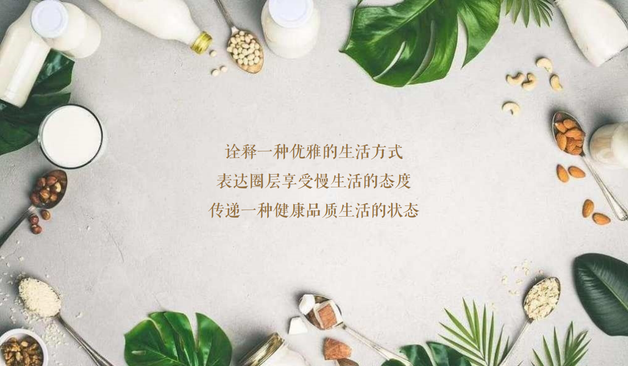 健康养生美食品鉴圈层方案.pdf_第3页