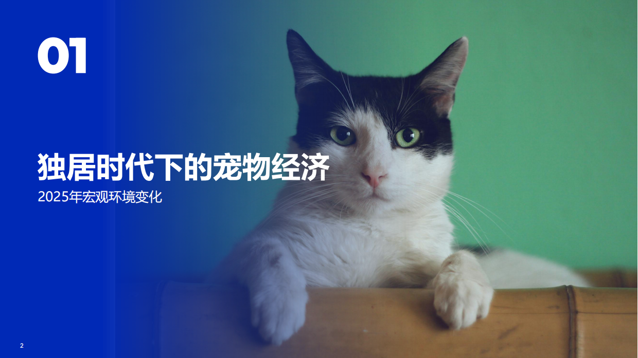 2026宠物行业趋势报告-从 “养宠” 到 “家人”：宠物行业迎来新时代、新需求-Flywheel飞未.pdf_第2页