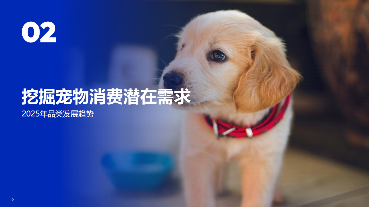 2026宠物行业趋势报告-从 “养宠” 到 “家人”：宠物行业迎来新时代、新需求-Flywheel飞未.pdf_第9页