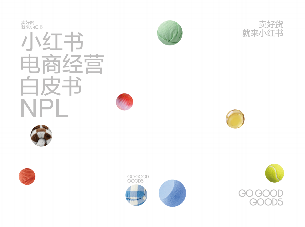 2026小红书电商经营白皮书NPL.pdf_第1页