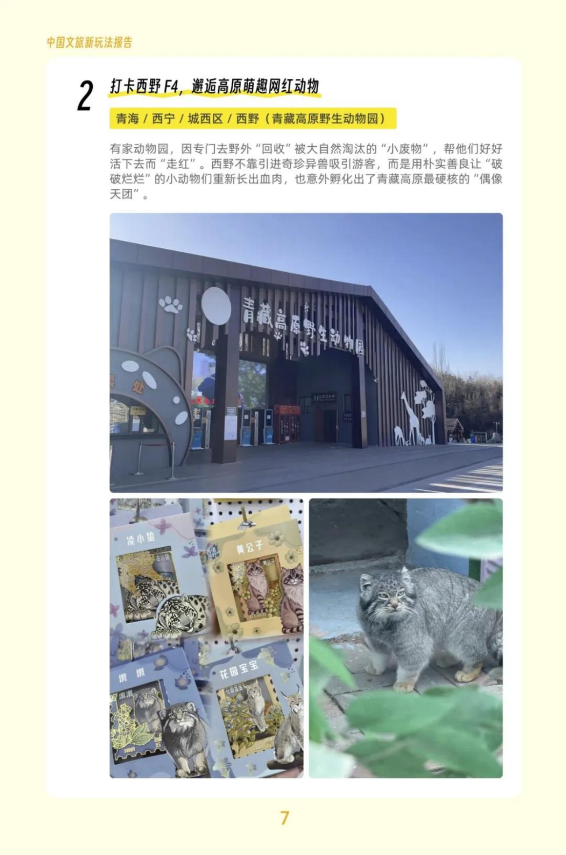 2026中国文旅新玩法报告-马蜂窝.pdf_第9页