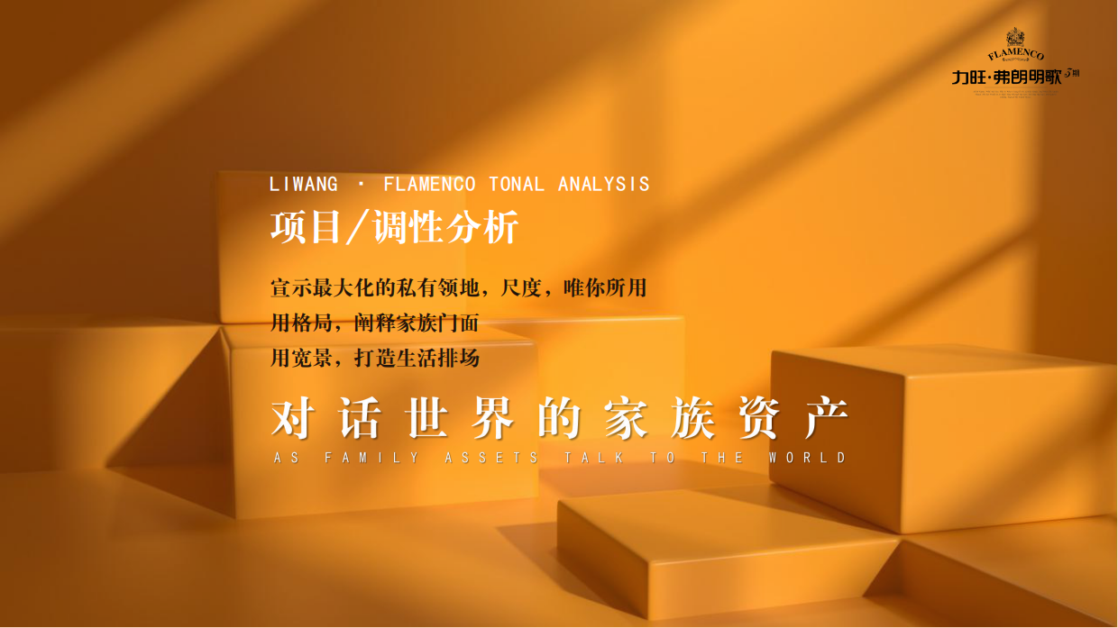 地产奢侈品鉴沙龙.pdf_第6页