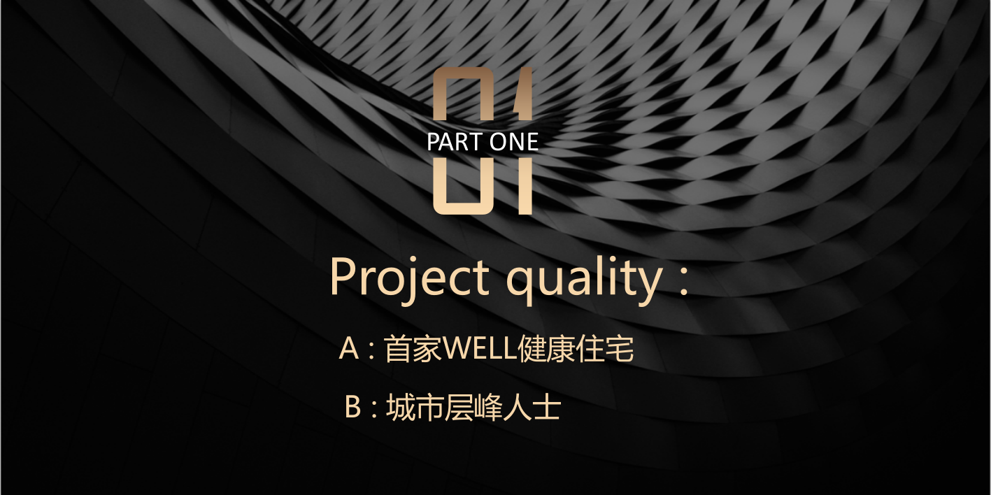 地产项目夏日圈层主题活动资源推荐-82P.pptx_第2页