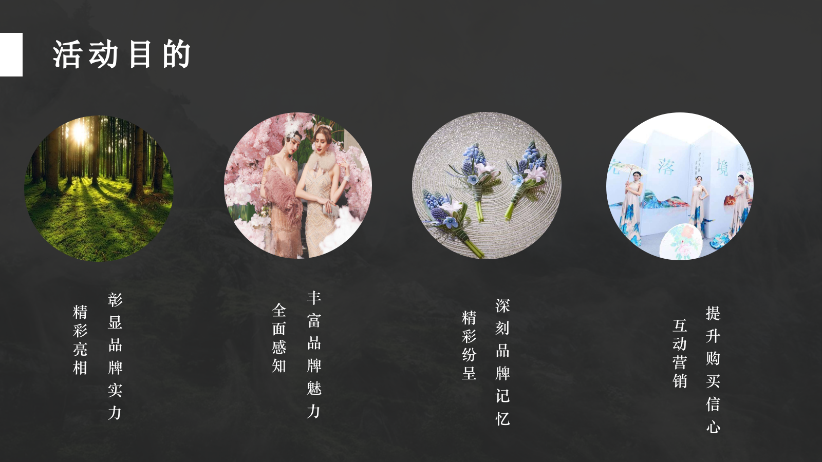 房地产品鉴中心开业暨康复医院开放主题活动方案.pptx_第4页