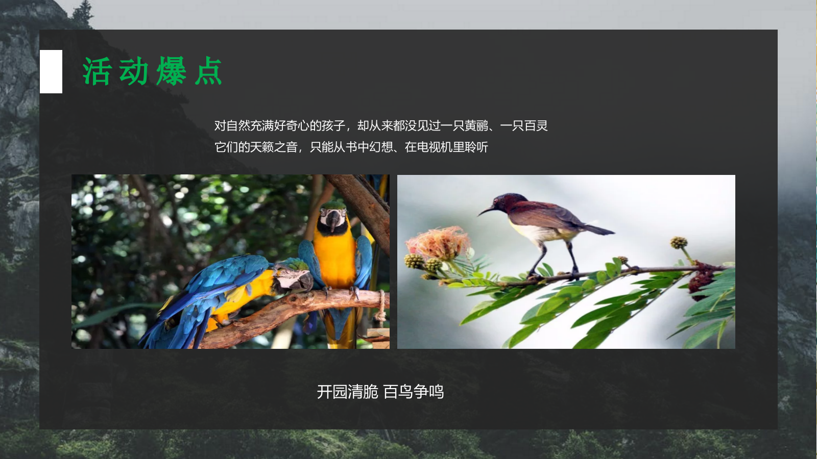 房地产品鉴中心开业暨康复医院开放主题活动方案.pptx_第7页