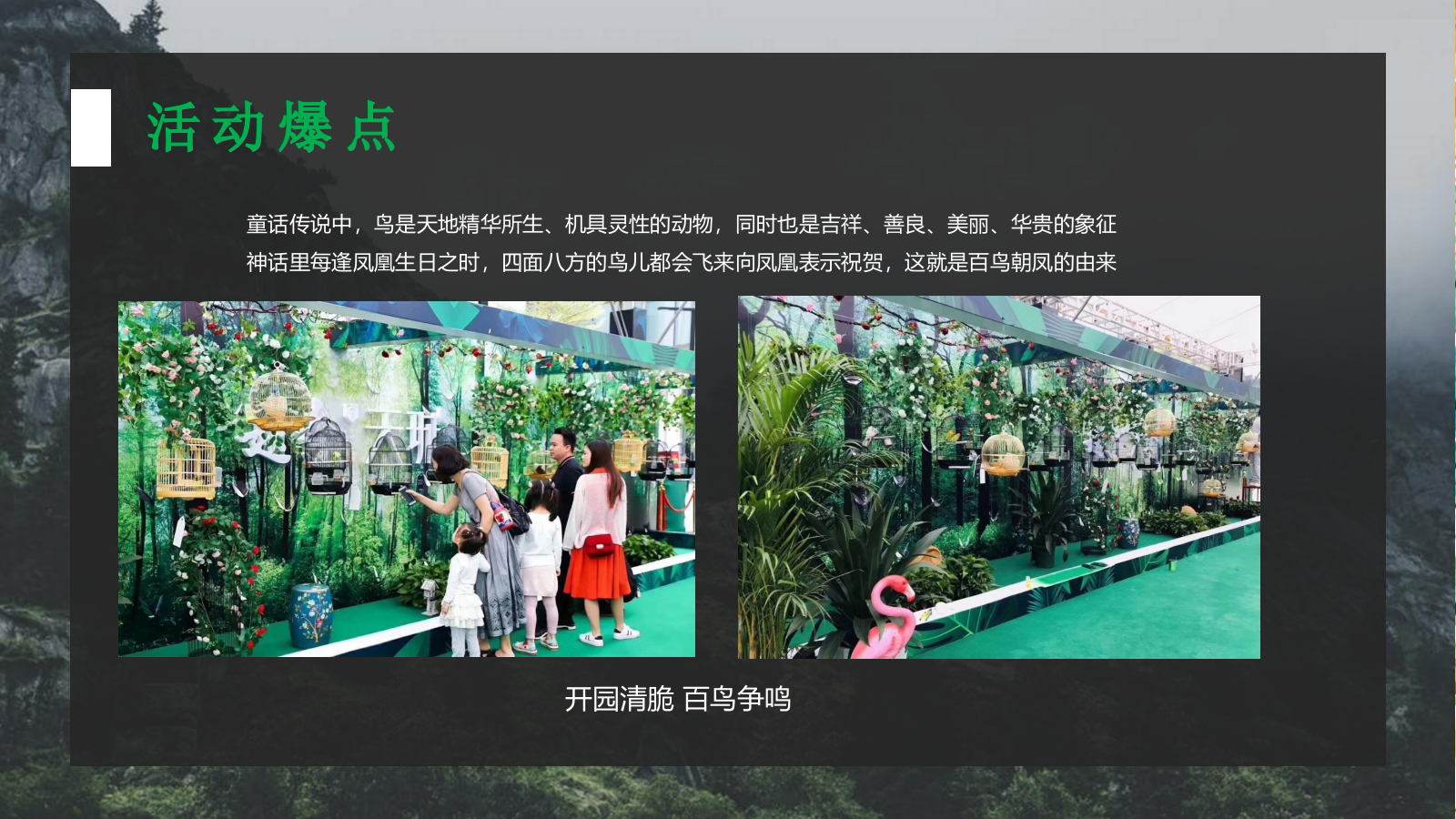 房地产品鉴中心开业暨康复医院开放主题活动方案.pptx_第8页