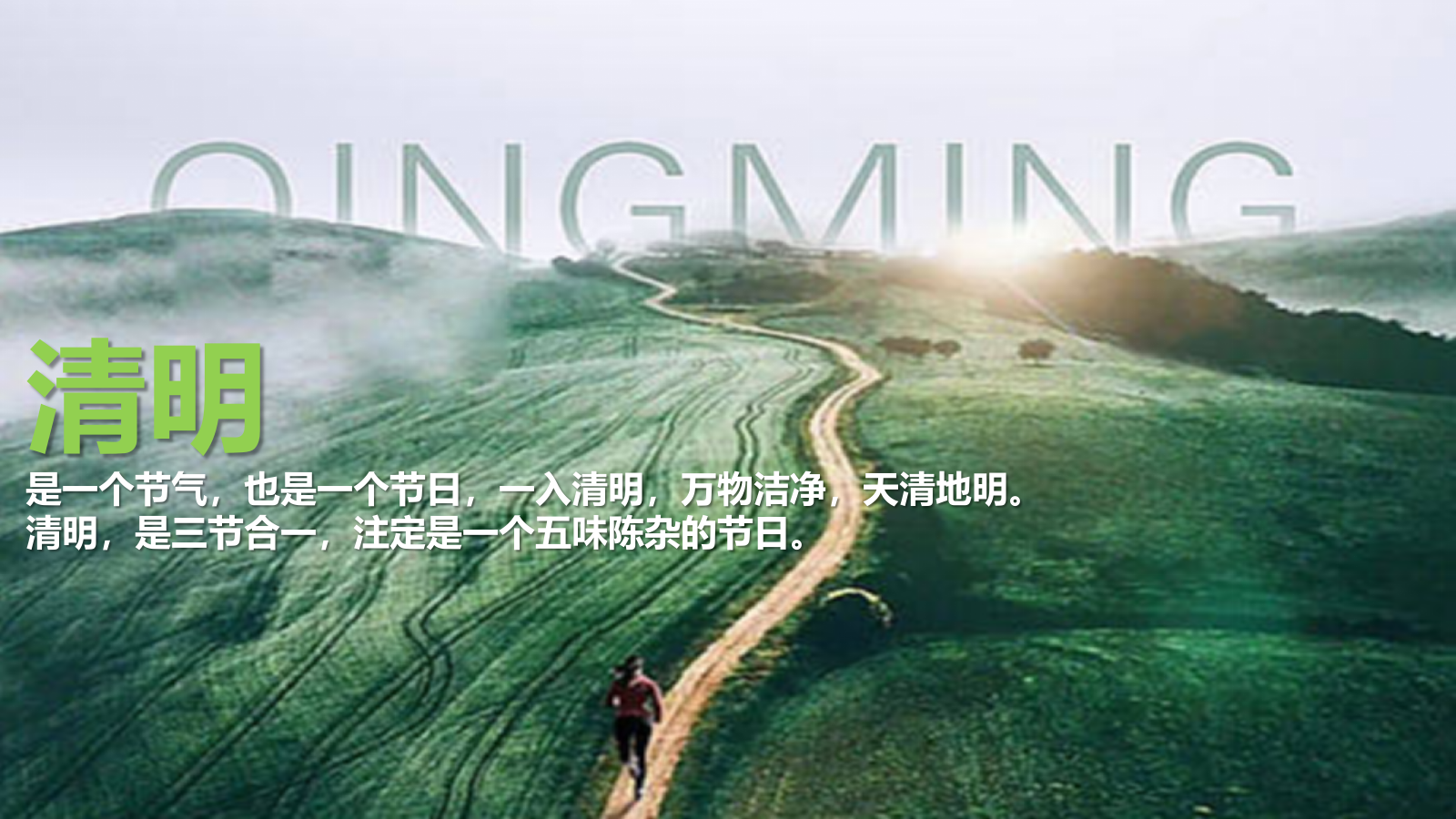 2024寻春.赏茶雅集清明踏春圈层主题活动策划案.pptx_第3页