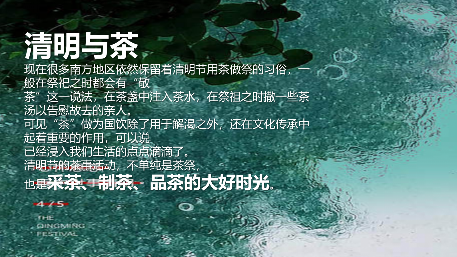 2024寻春.赏茶雅集清明踏春圈层主题活动策划案.pptx_第5页