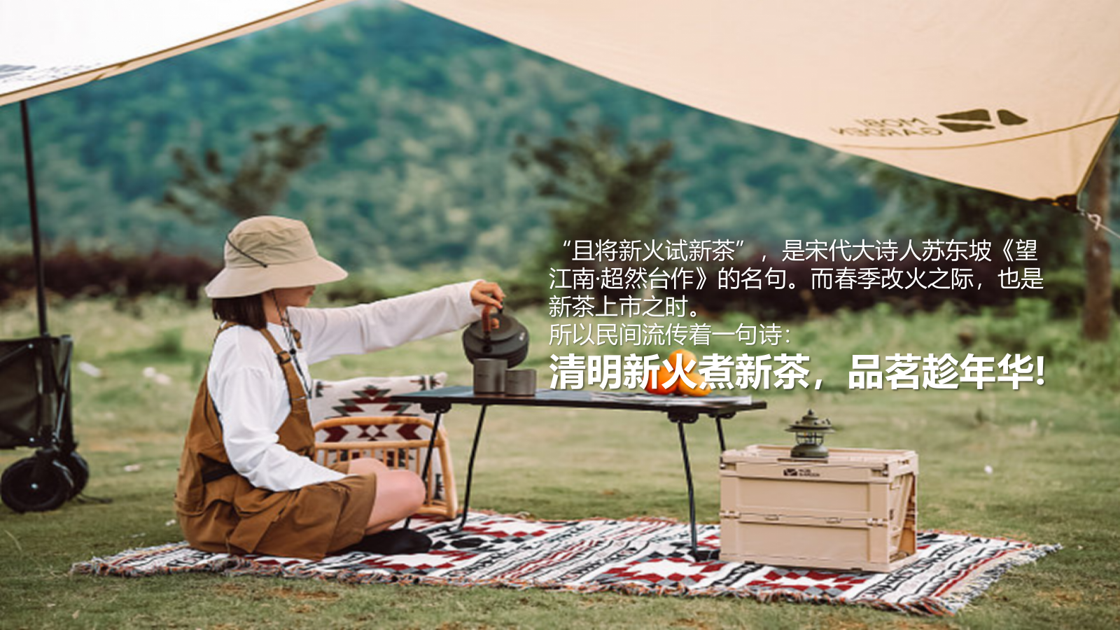 2024寻春.赏茶雅集清明踏春圈层主题活动策划案.pptx_第6页