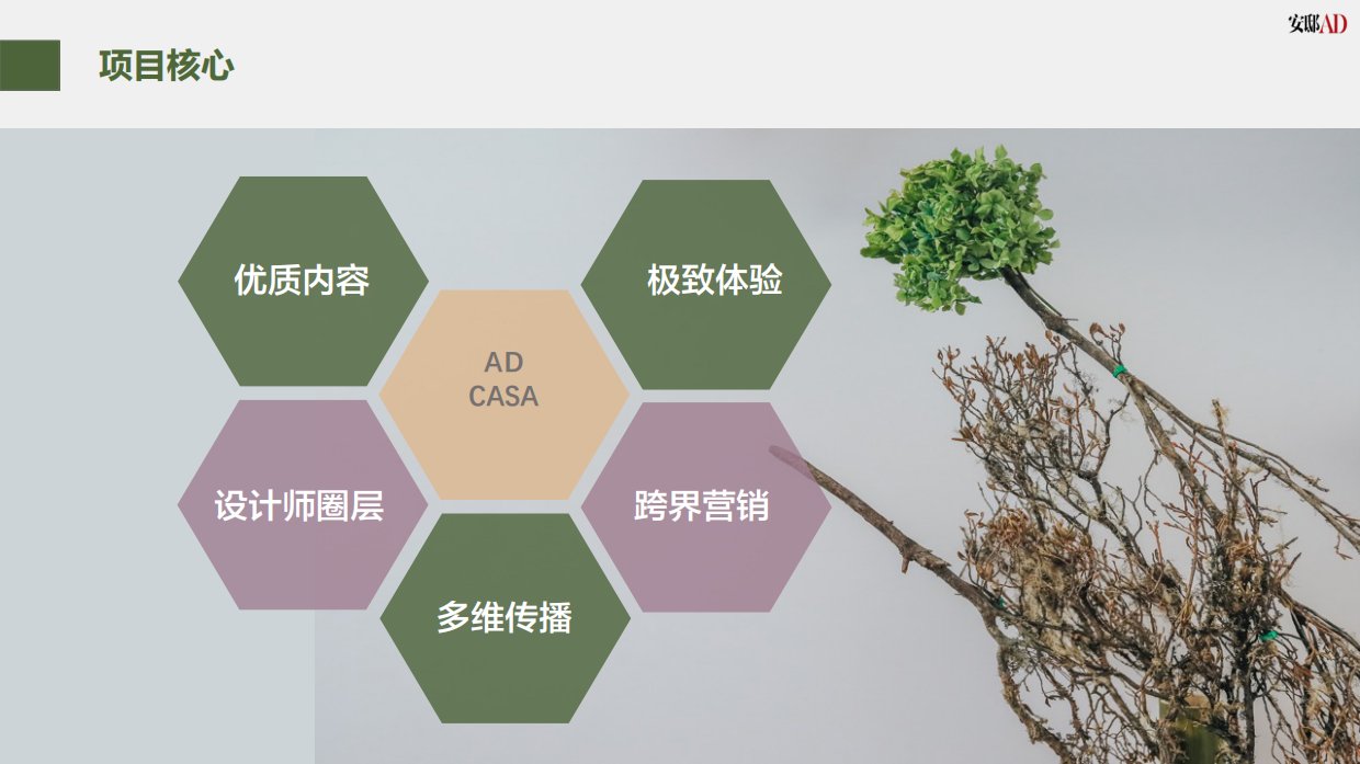 2021 AD Casa general proposal.pdf_第5页