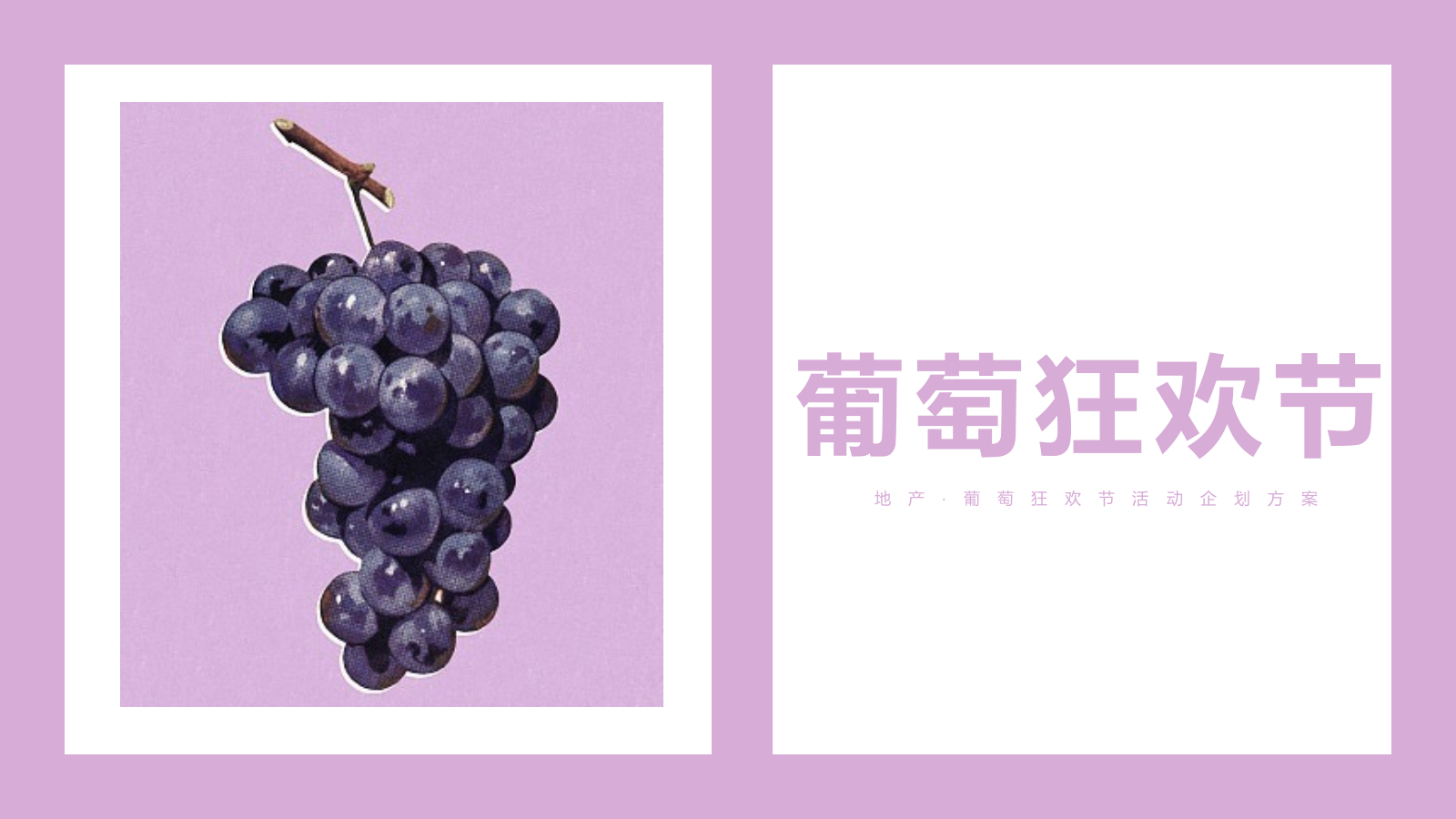 2021葡萄狂欢节活动方案-66P.pptx_第1页