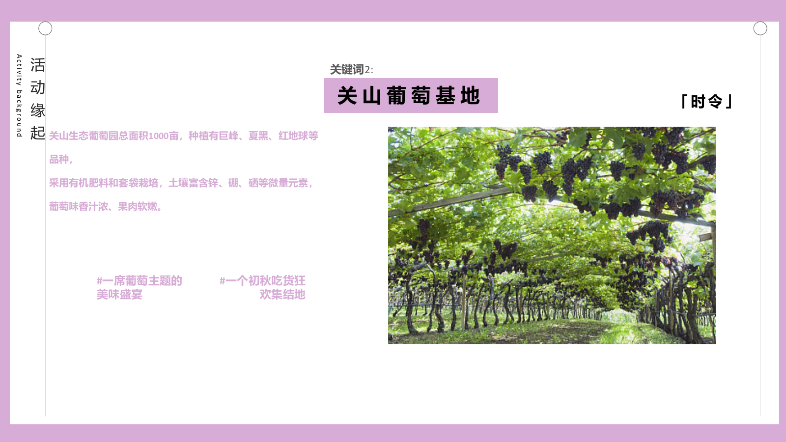 2021葡萄狂欢节活动方案-66P.pptx_第5页