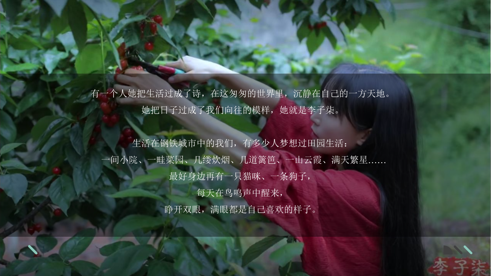 2022地产项目圈层活动（品花归心 简而有韵主题）活动策划方案.pptx_第3页