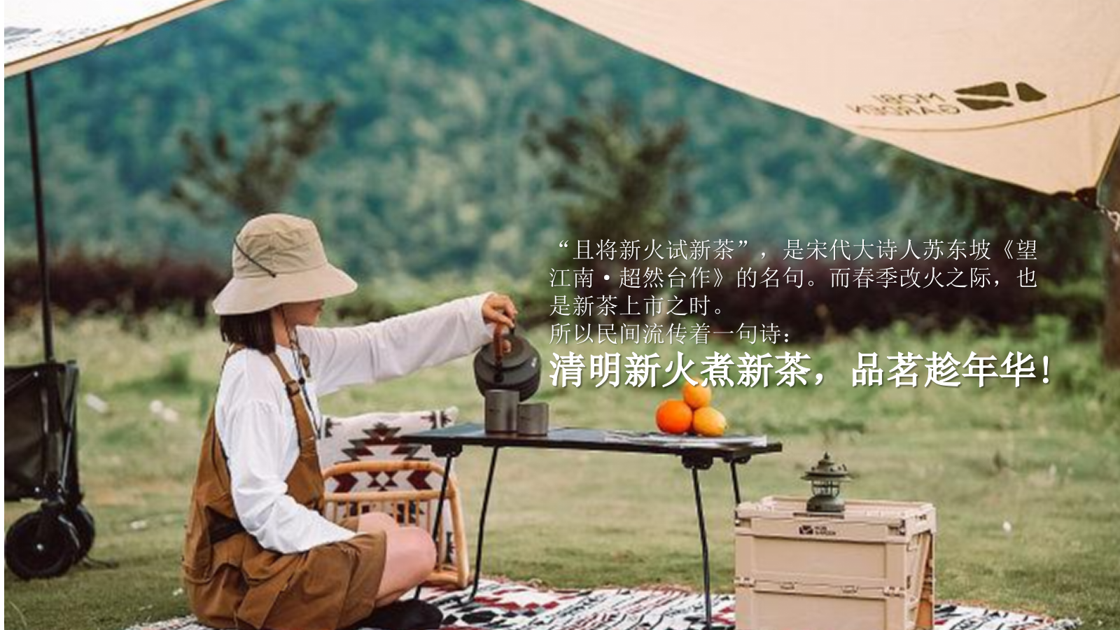 2023地产项目圈层（寻春.赏茶雅集主题）活动策划方案-26P.pptx_第6页